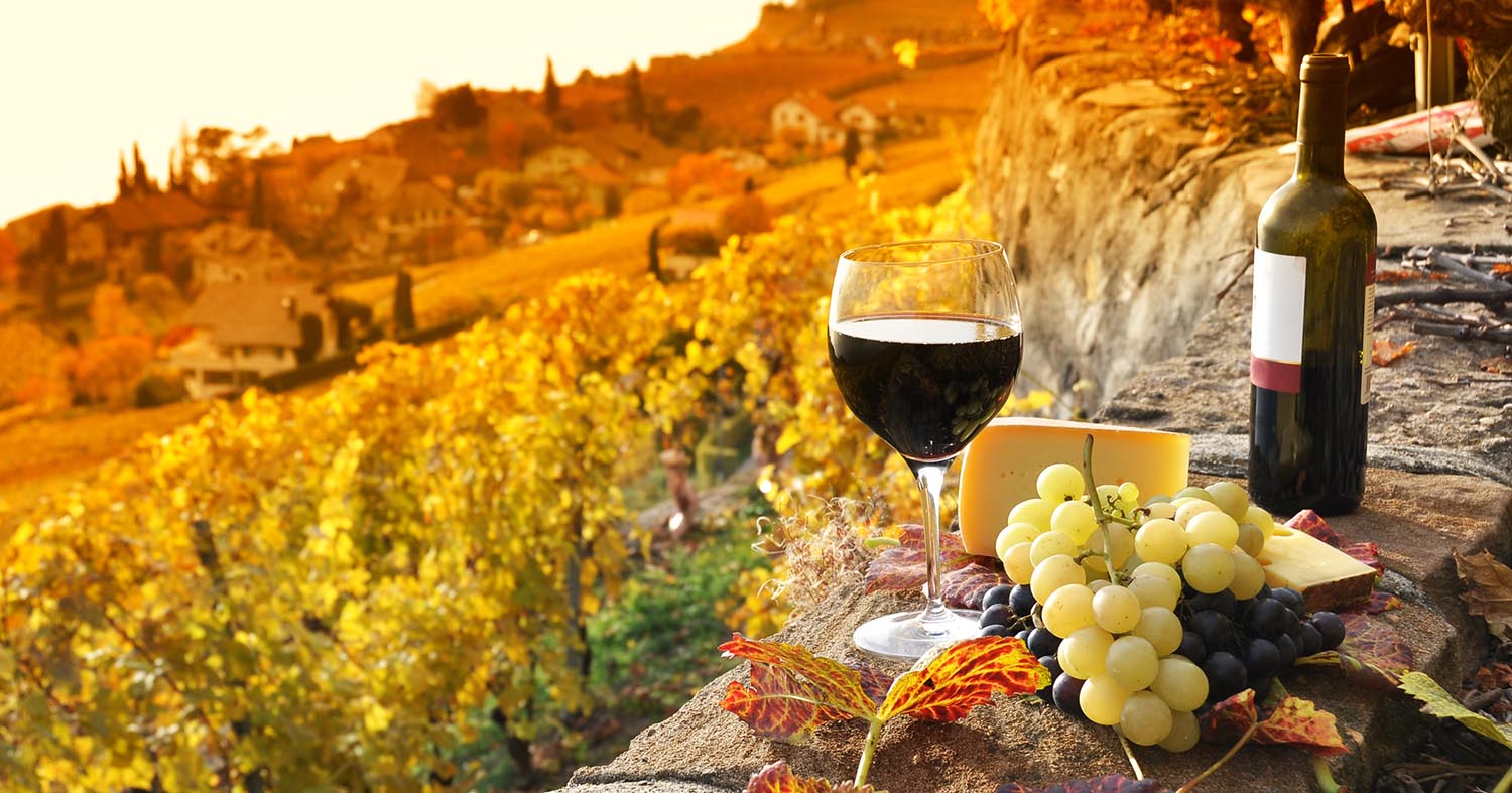 Top 30 Largest Wineries